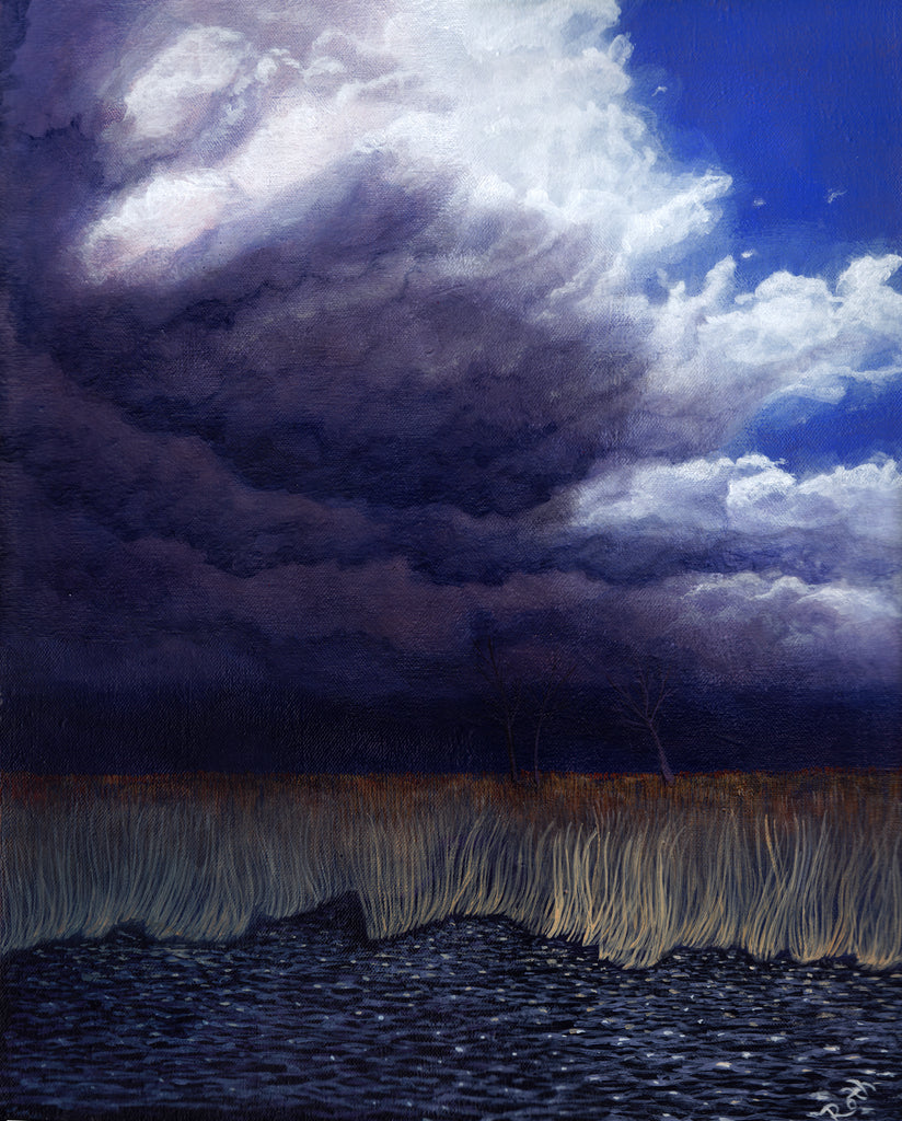 Belly of the Beast Oil Landscape Painting by Harold Roth; dark storm clouds begin covering a blue summer sky. Below, fall reeds stand behind black water ruffled by the storm winds