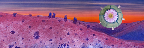 Purple Peyote Hills Print