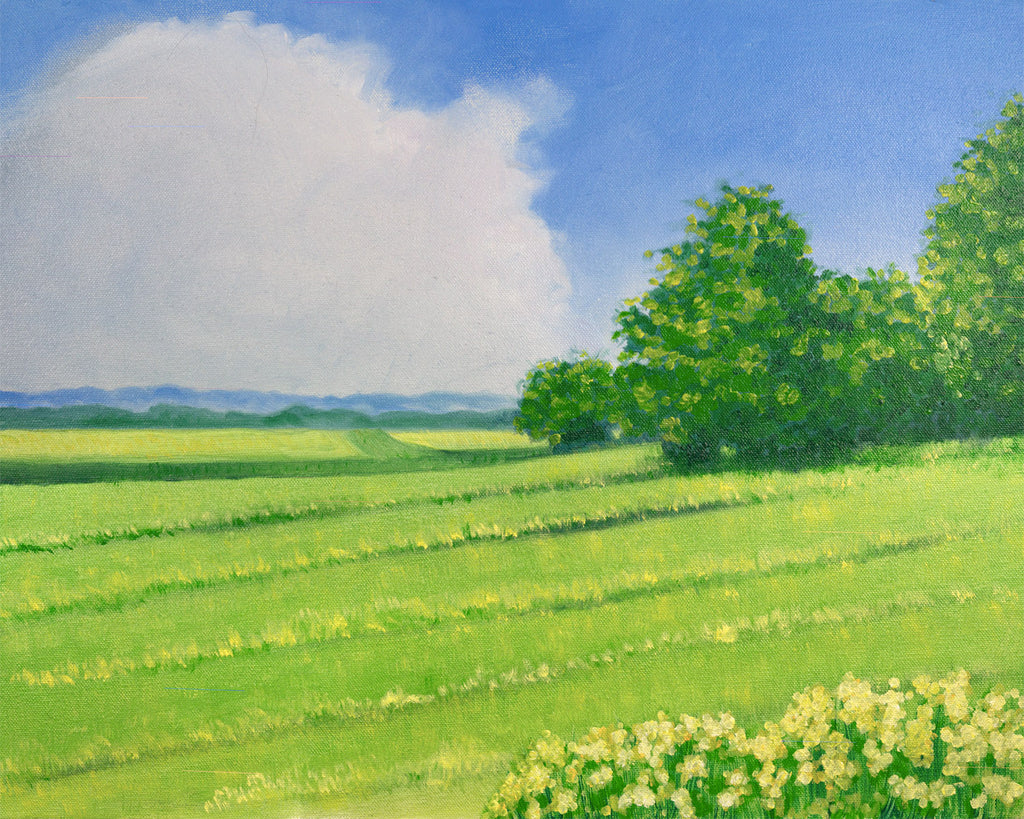 Summer Field Oil Landscape Painting by Harold Roth