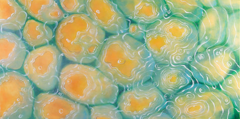 Wet Painting or Print